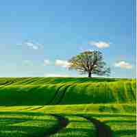 自‍动‌化‍专​业﻿必‍备‌软﻿件‍